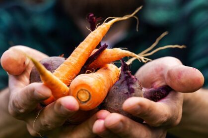 post-gallery-3 post-gallery-3